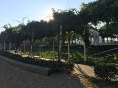 -碧海金沙