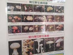 -双喜农庄·菌香园(安居家园店)