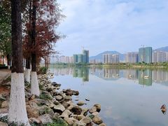 -飞来湖湿地公园