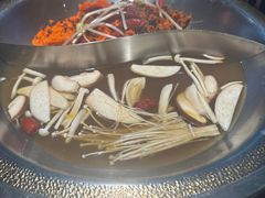-辣伍鲜毛肚老火锅(元一店)