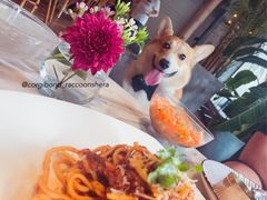 -the rug 飞毯 (朝阳公园店)
