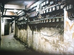 -九龙寨城公园