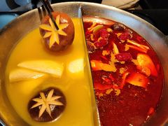 -湊湊火锅·茶憩(新中关购物中心店)