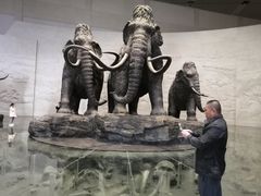-大庆市博物馆
