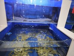 -小铜锣湾海鲜家常菜馆(河西店)