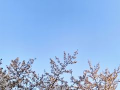 -青麦家·融合餐厅(江岛智立方店)