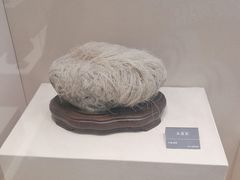 -安徽省地质博物馆