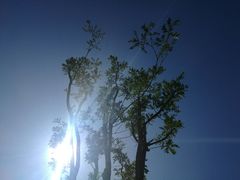 -赛汗塔拉风情园