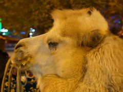 -艾提尕尔清真寺