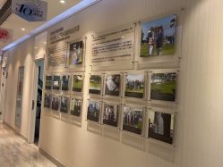 -上海首尔丽格医疗美容医院