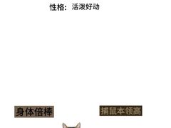-Bastet sally猫舍购宠(静安店)