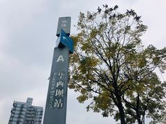 -四川大学华西口腔医院-停车场