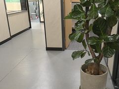-半岛宠物医院24小时(西派城店)