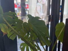 -一滴墨照相馆·证件照·形象照·领证跟拍(民耀路店)
