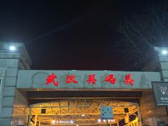 -武汉关码头(轮渡站)