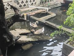 -优之名鹅城