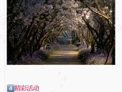 -凤凰沟景区