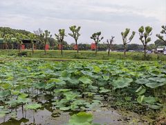 -嘉北郊野公园