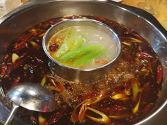 -金鼎雪山牦牛杂火锅(理县总店)