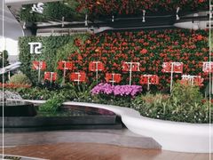 -广州白云国际机场-T2航站楼