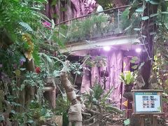 -正佳雨林生态植物园