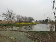 -梁鸿国家湿地公园