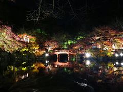 -醍醐寺