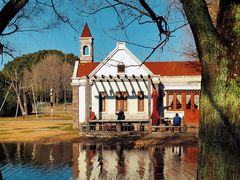 -上海共青森林公园