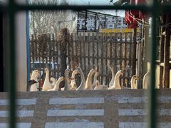 -鱼窝棚柴火铁锅炖(富山屯店)