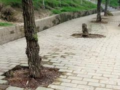 -溪霞怪石岭生态公园