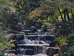 -中国茶叶博物馆(双峰馆区)