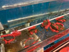 水产区-虾胡闹·澳洲小龙虾·烧烤(福田鲨鱼店)