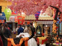 -吉祥圣雪藏餐