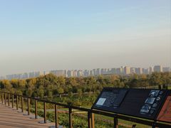 -汉长安城未央宫国家考古遗址公园