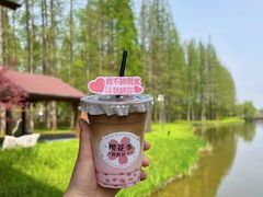 -黄海国家森林公园