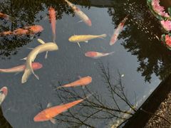 -融汇温泉