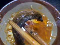 -肥龙火锅(南坪店)