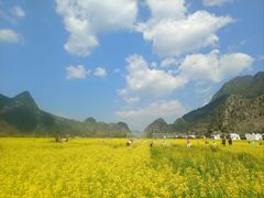 -万峰林风景区