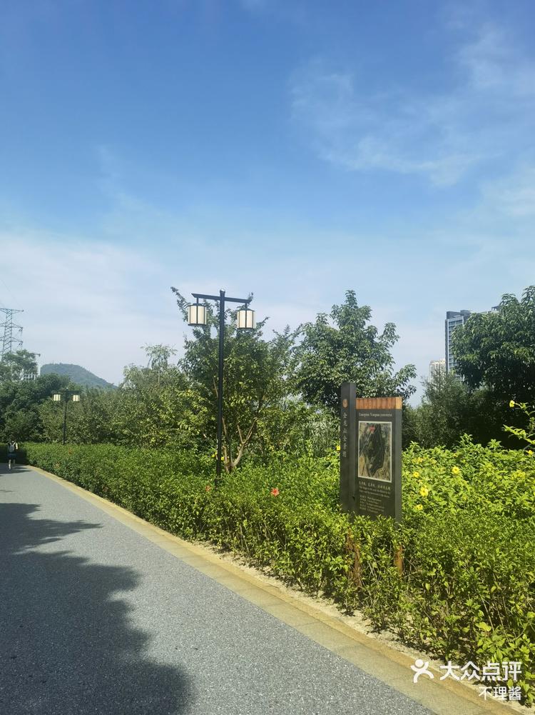 宝安亲子游企龙山公园