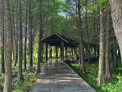 -溱湖国家湿地公园