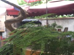 -宅院