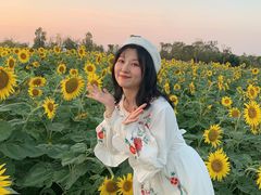 -瑶湖郊野森林公园