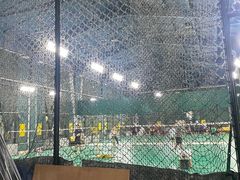 -东丽温泉羽毛球