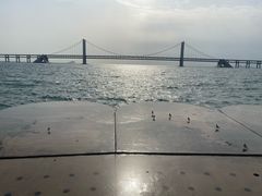 -星海湾跨海大桥