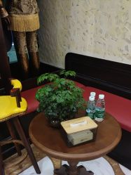 -东方先生国潮男士理发馆