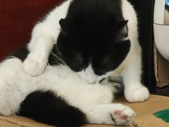 -路易时光(蕴川路店)