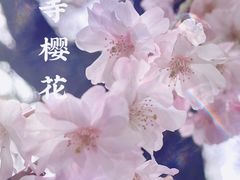 -西安青龙寺遗址景区
