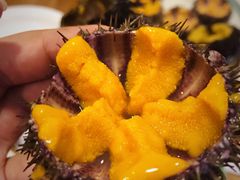 -海胆小馆(东北水饺·春柳店)