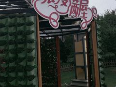 -荷兰花海