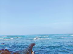 -清水湾旅游度假区